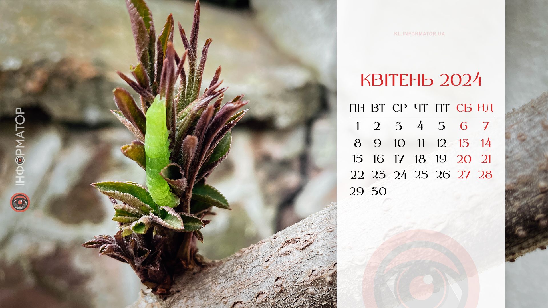 Коломия весняна | Добірка календарів від Інформатора на квітень 2024 8
