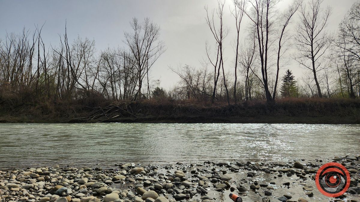 Прут вдень та у надвечір'я: фото, що зігрівають серце | ФОТО, ВІДЕО 15