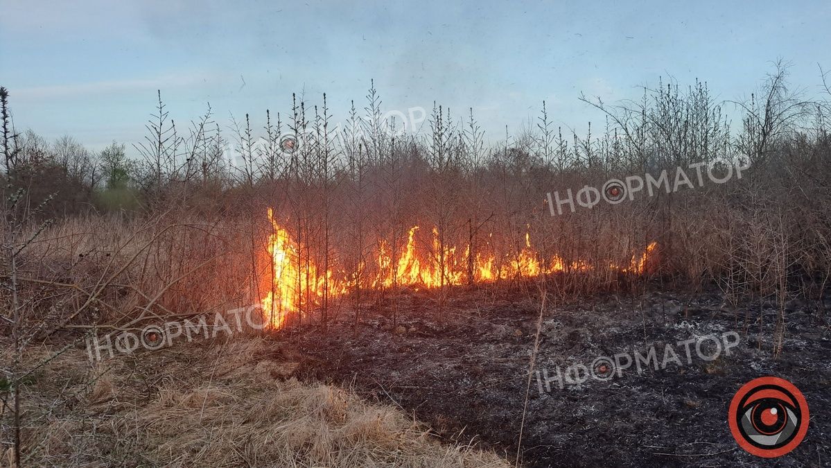 Біля Воскресінецької гори вигоріли гектари землі 3