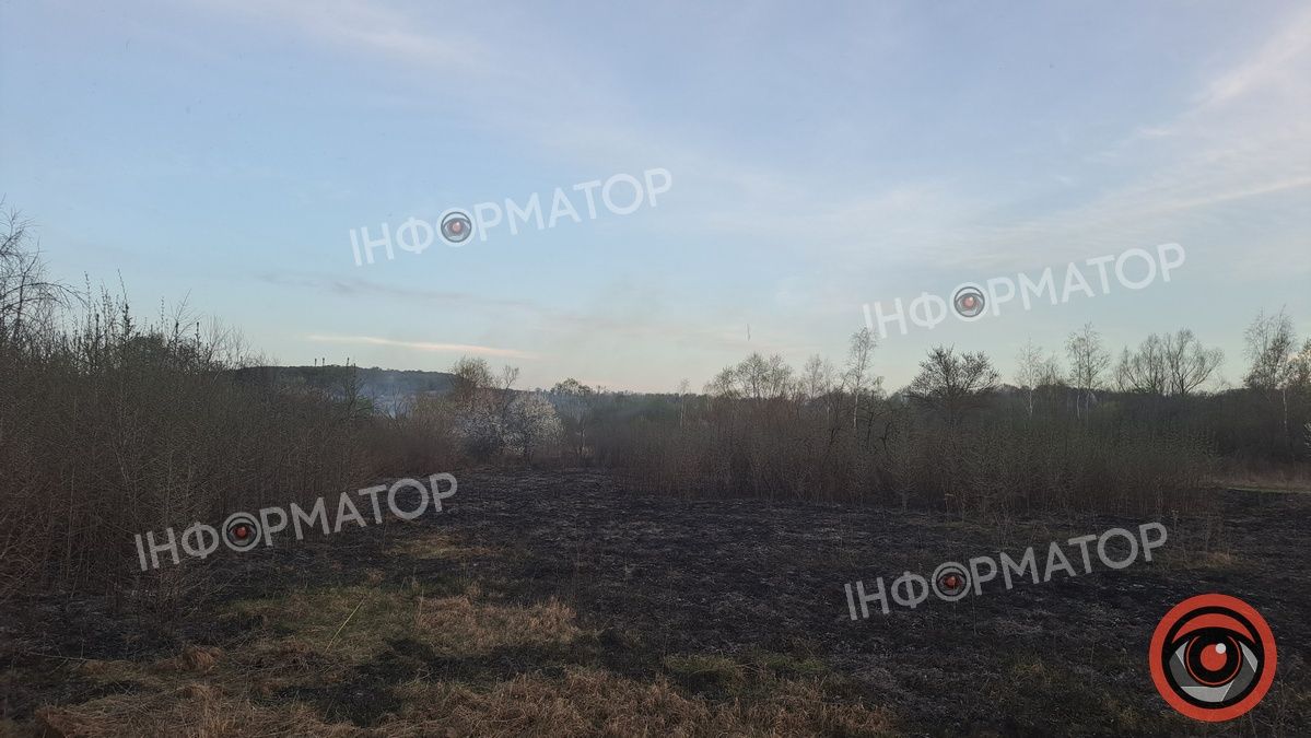 Біля Воскресінецької гори вигоріли гектари землі 4