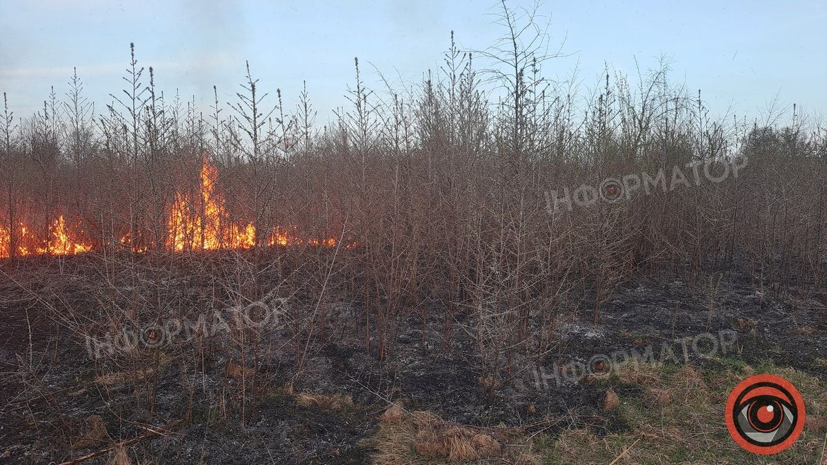 Біля Воскресінецької гори вигоріли гектари землі 6