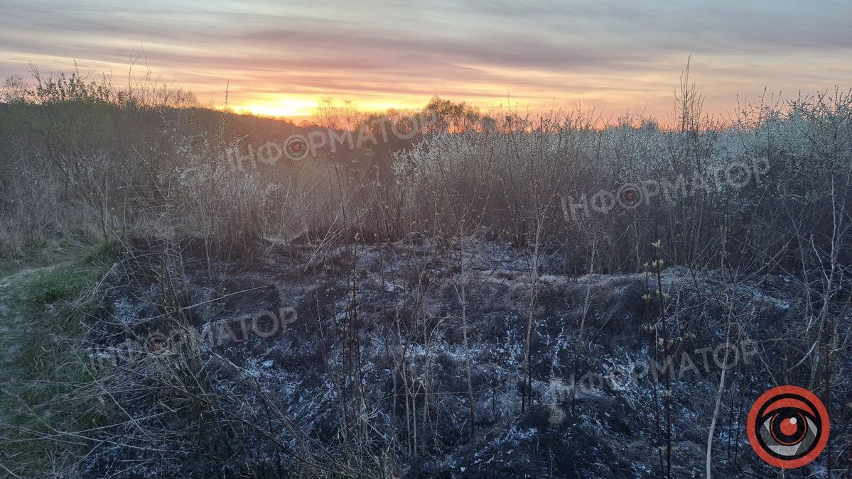 Біля Воскресінецької гори вигоріли гектари землі 13