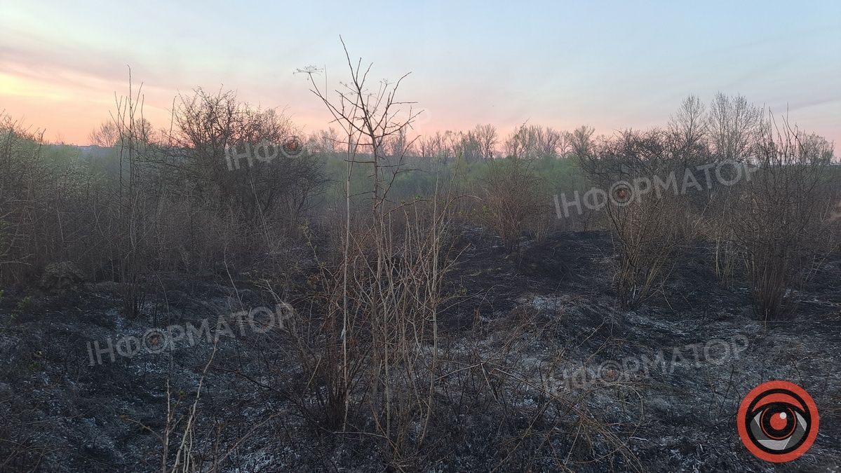 Біля Воскресінецької гори вигоріли гектари землі 11