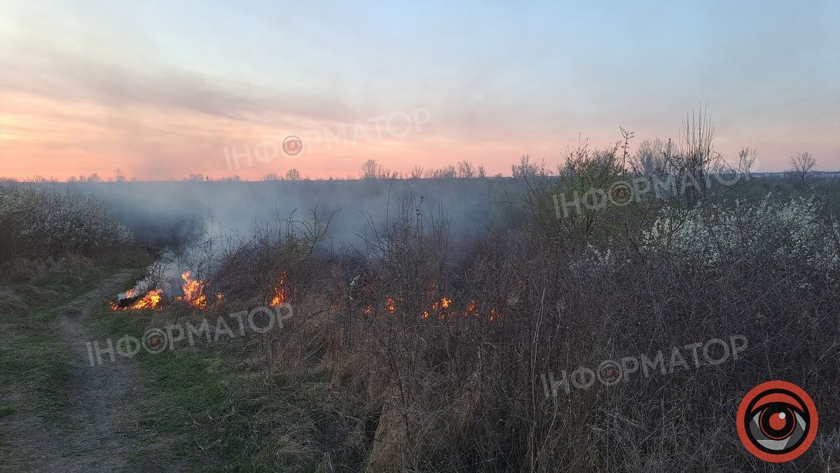 Біля Воскресінецької гори вигоріли гектари землі 7
