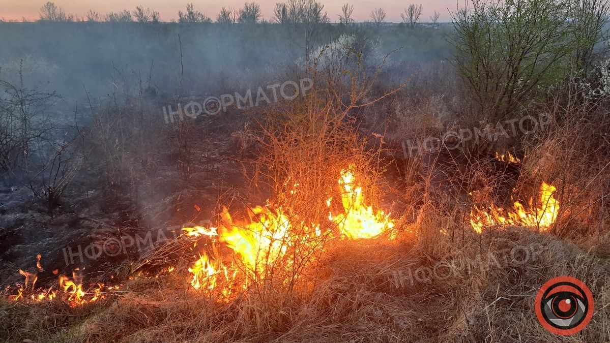Біля Воскресінецької гори вигоріли гектари землі 2