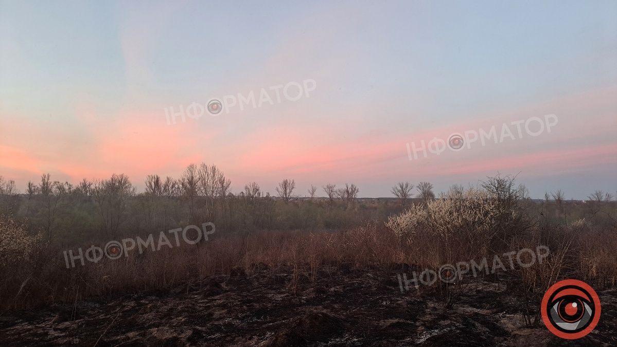 Біля Воскресінецької гори вигоріли гектари землі 16