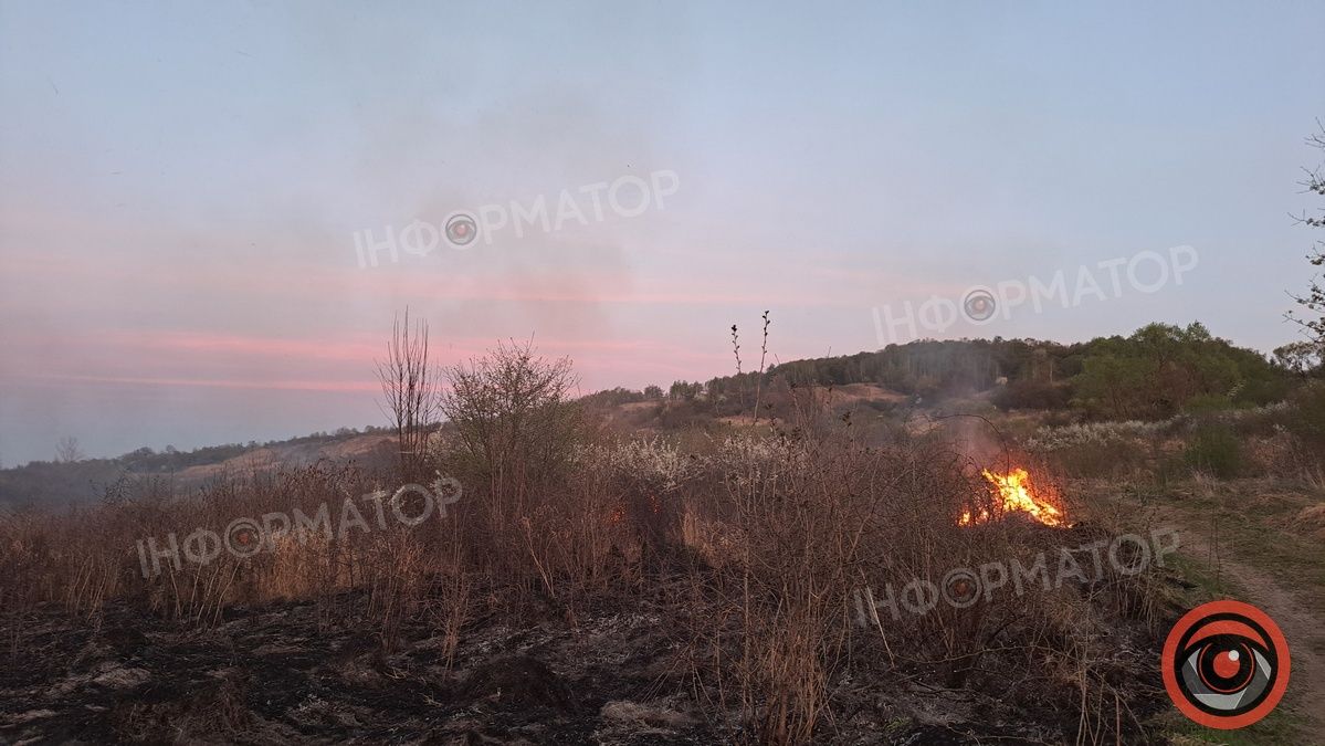 Біля Воскресінецької гори вигоріли гектари землі 17