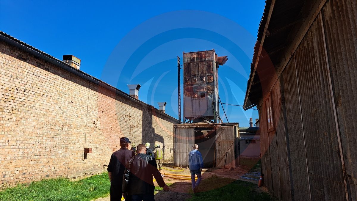 У Коломиї виникла пожежа на деревообробному підприємстві 2
