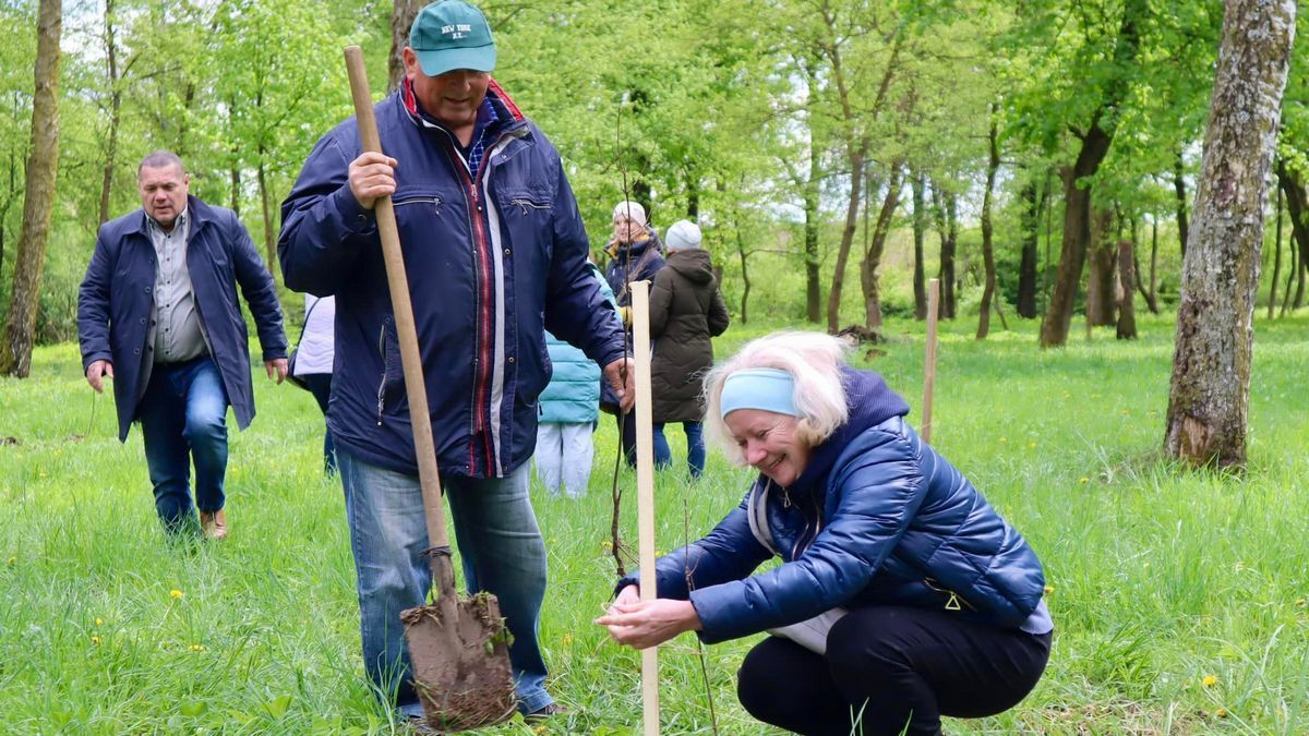 Дуби з саду пана Енгельгардта, в якого козачкував малий Шевченко, висадили у Коломиї 1