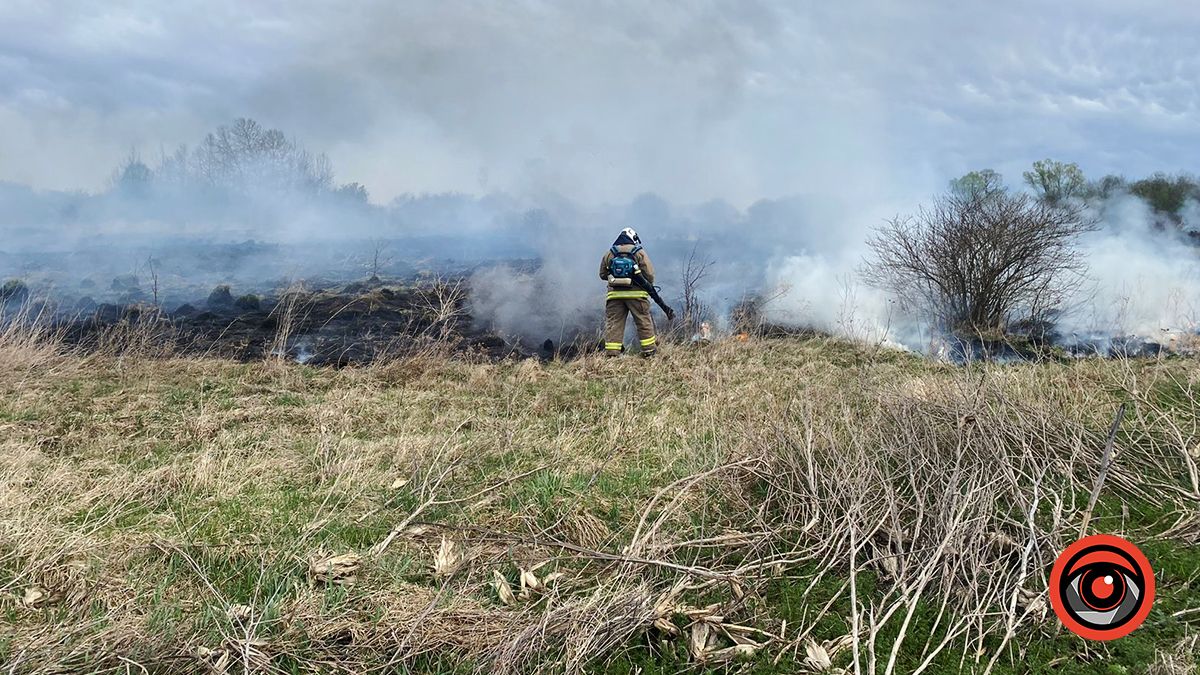 На Коломийщині знову палає через ґаздування місцевих мешканців 4