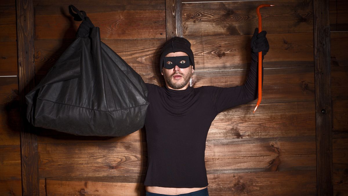 Від машини до майонезу і трусів: у Коломиї винесли вирок серійному злодію