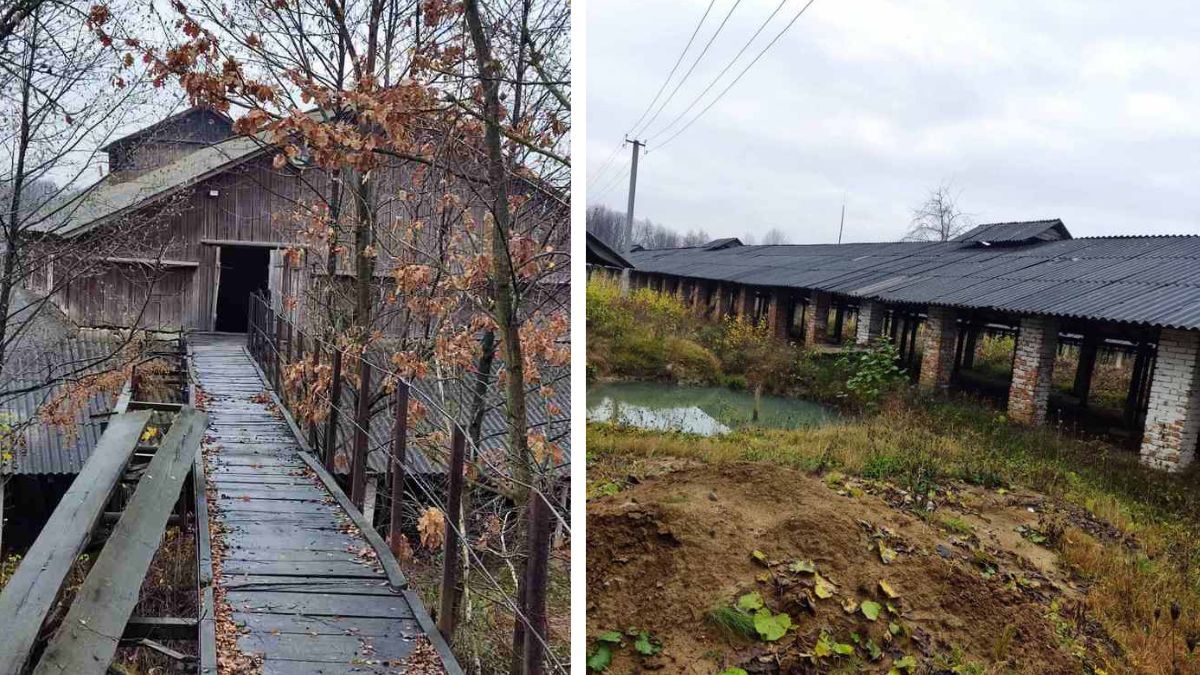 Цегельний, керамічний, деревообробний і льон заводи: як інвестувати у вигідну справу на Прикарпатті 4