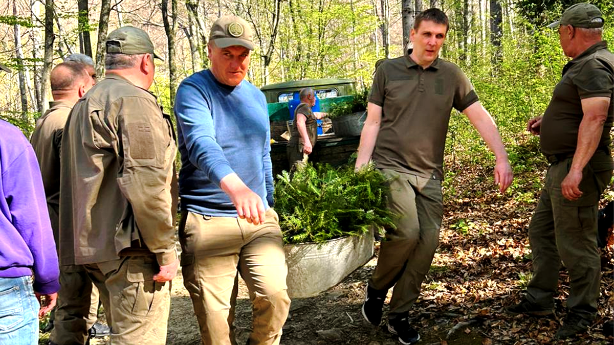 У Шешорах висадили 500 саджанців букових та хвойних дерев 1