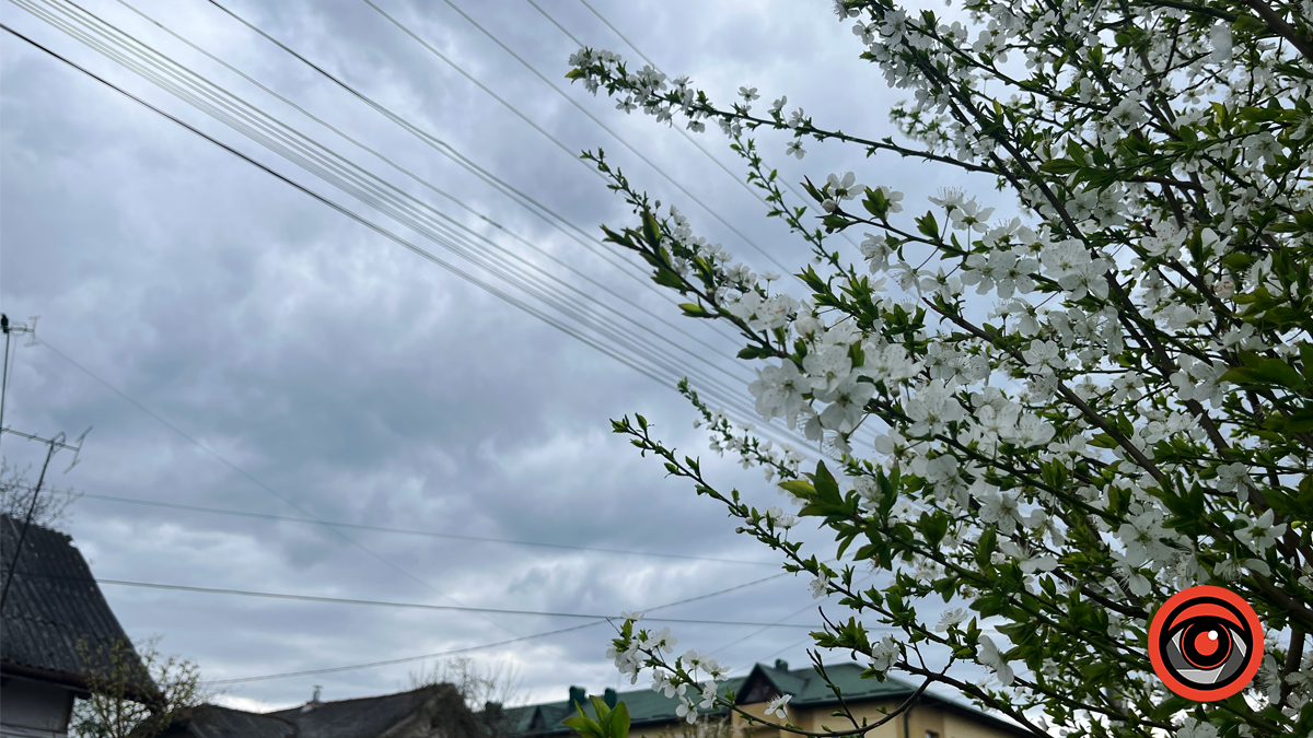 Коломия квітуча | Фоторепортаж весняного міста 9