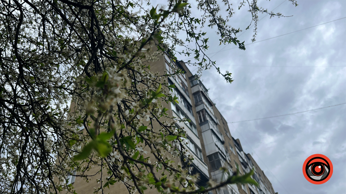 Коломия квітуча | Фоторепортаж весняного міста 6