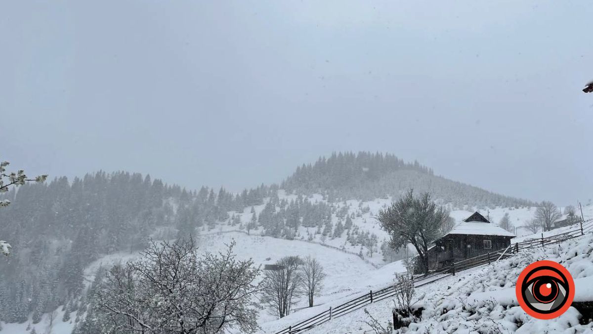 Частину Прикарпаття вкрило снігом. Фоторепортаж 5