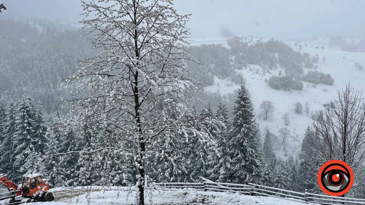 Частину Прикарпаття вкрило снігом. Фоторепортаж 2