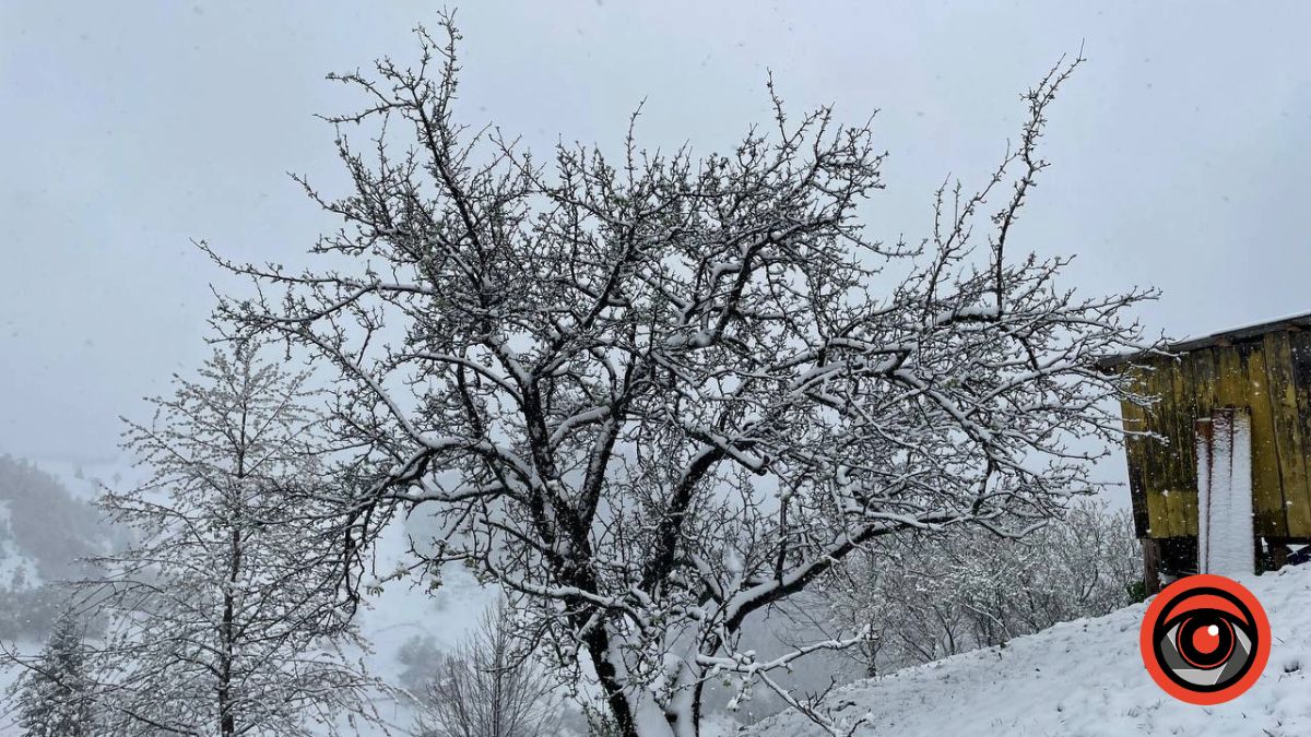 Частину Прикарпаття вкрило снігом. Фоторепортаж 4