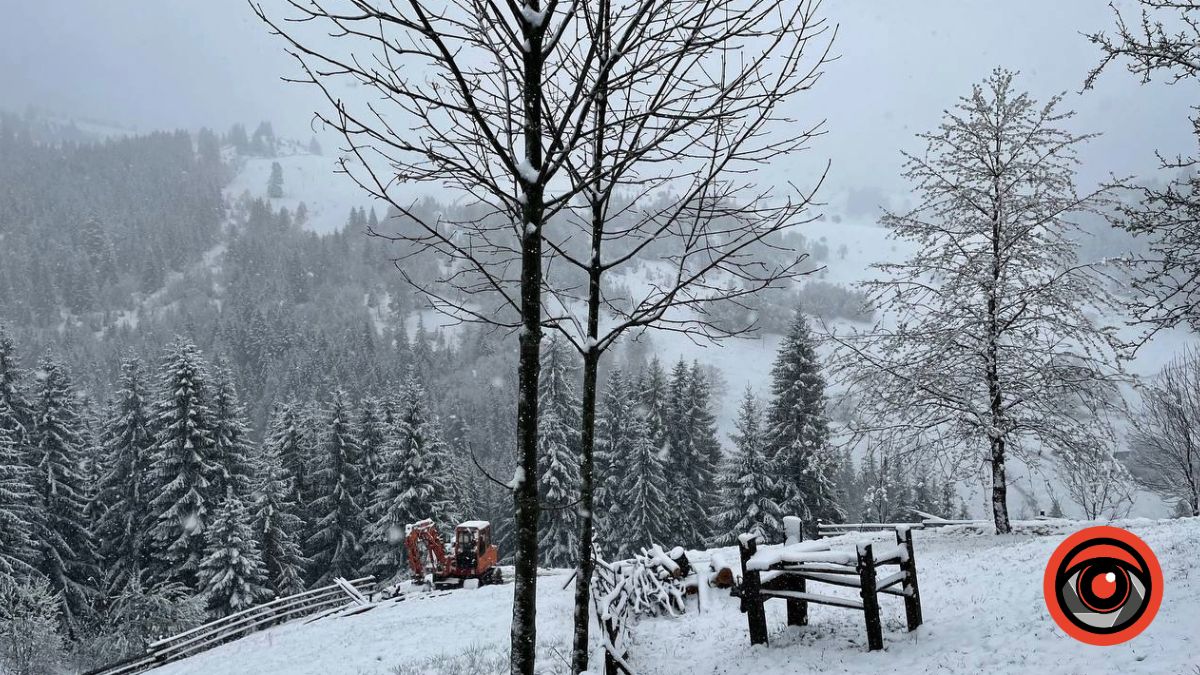 Частину Прикарпаття вкрило снігом. Фоторепортаж 3