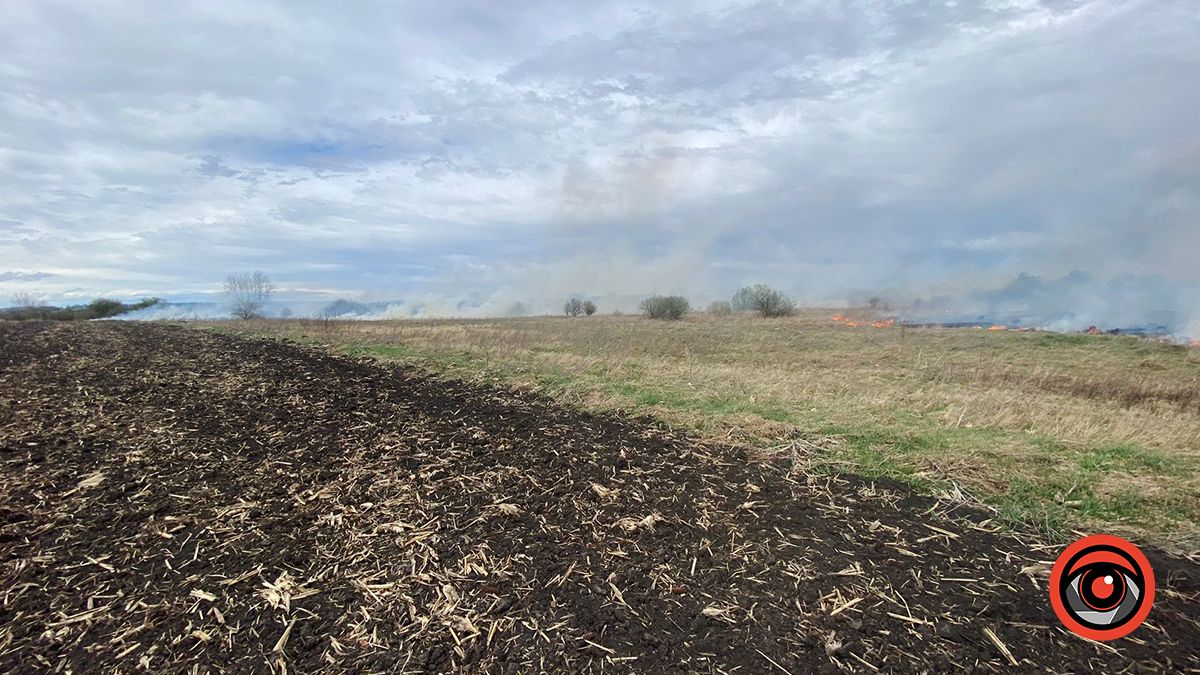 На Коломийщині знову палає через ґаздування місцевих мешканців 2