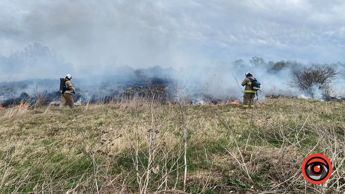 На Коломийщині знову палає через ґаздування місцевих мешканців