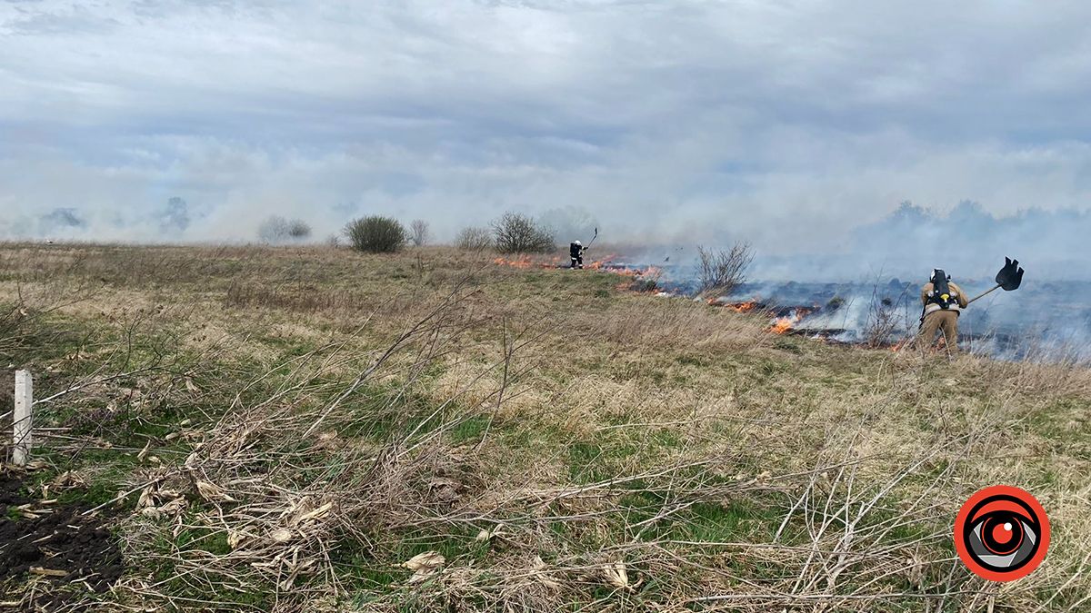 На Коломийщині знову палає через ґаздування місцевих мешканців 1