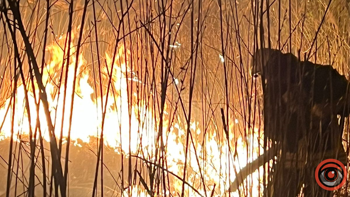 У Городенківській громаді звечора палали трави 1