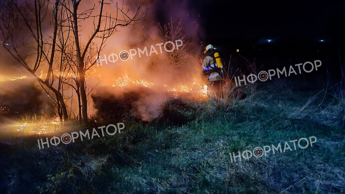 У Коломиї палали трави і чагарники неподалік сміттєзвалища 1