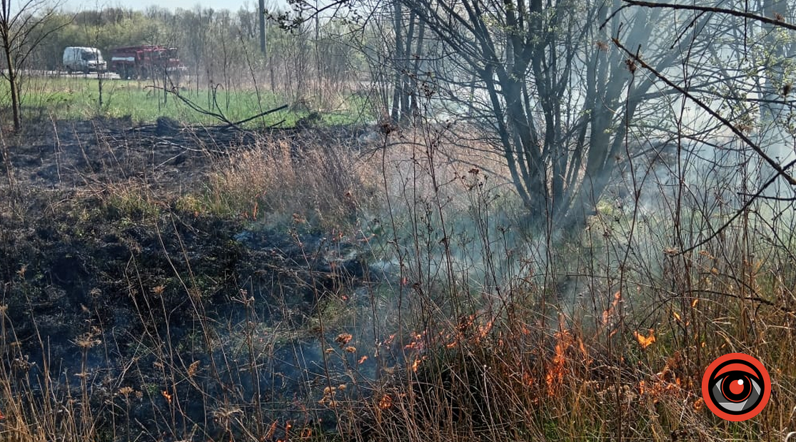 На Надвірнянщині 9 квітня сталася масштабна лісова пожежа 1