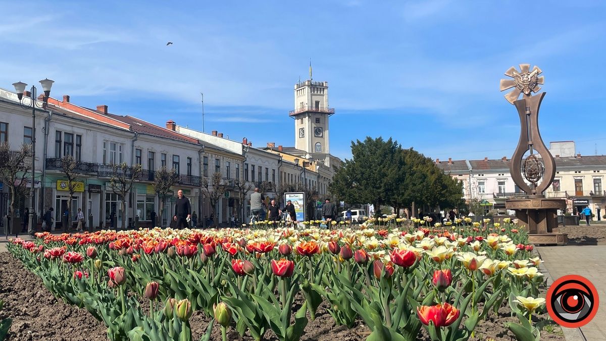 Барвиста Коломия у квітні 2024 року. Фото 3