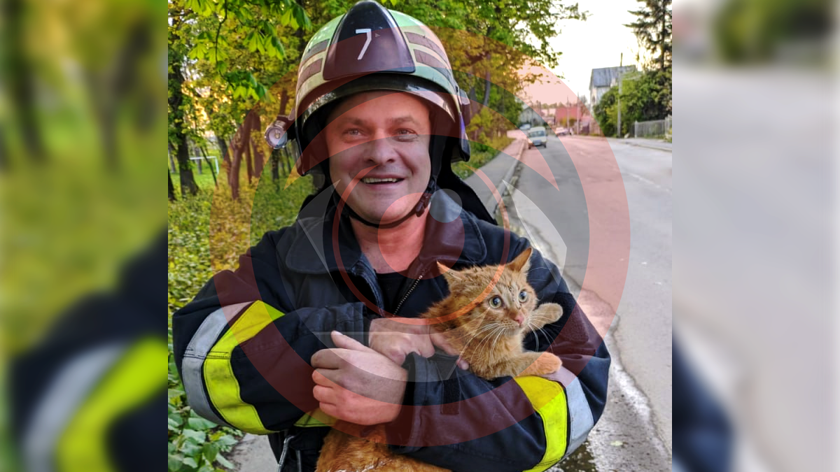 Протягом доби рятувальники двічі рятували коломийських котиків 3