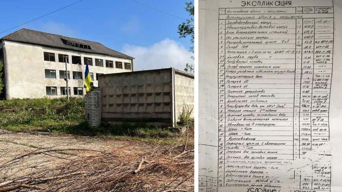 Цегельний, керамічний, деревообробний і льон заводи: як інвестувати у вигідну справу на Прикарпатті 8