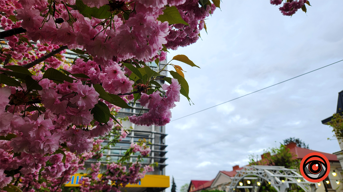 Погода у Коломиї 19 квітня