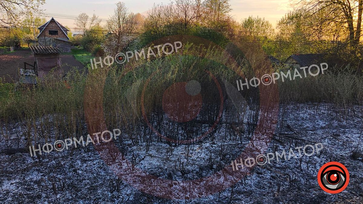 10 квітня у Коломиї рятувальники гасили кілька пожеж сухої трави 2