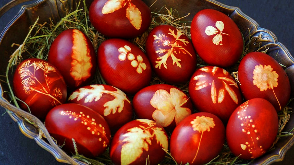 Фото: gospodynka.com.ua