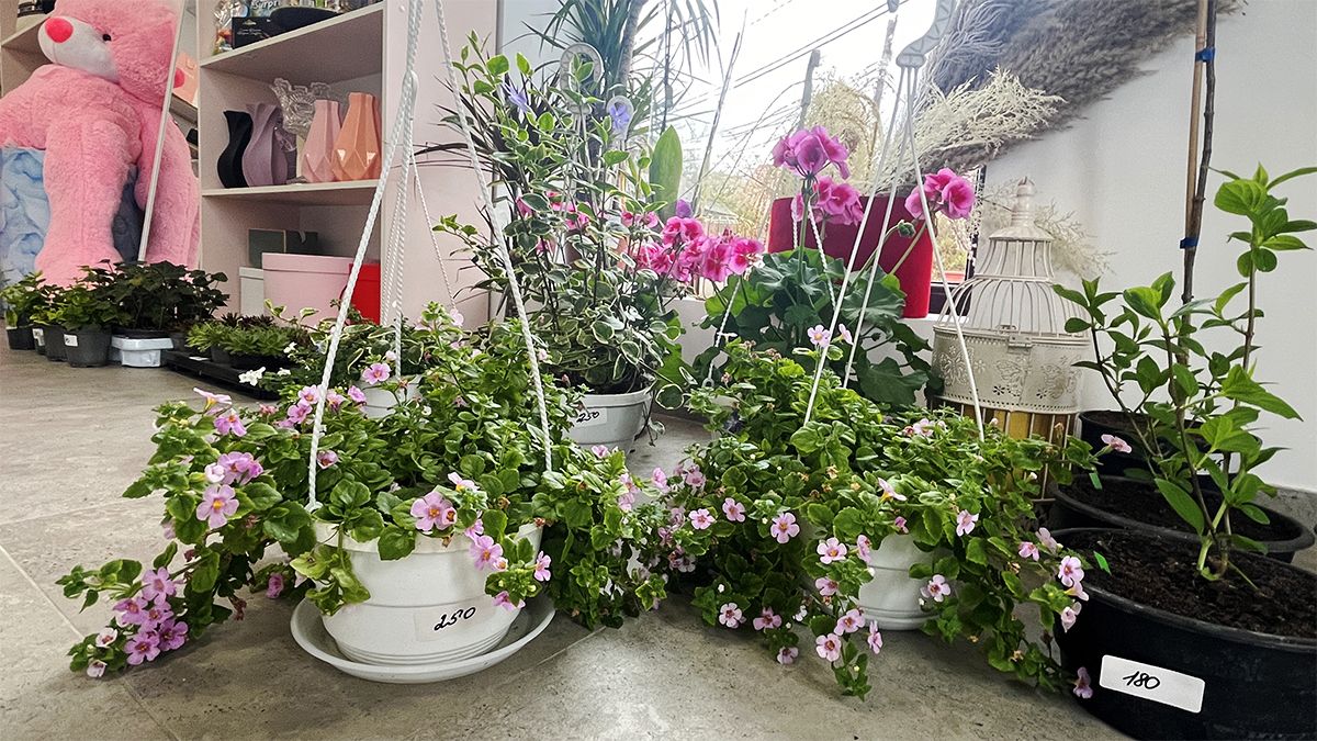 Букети, що творять спогади: у Коломиї запрацювала студія квітів та декору "Valen’s Flower" 5