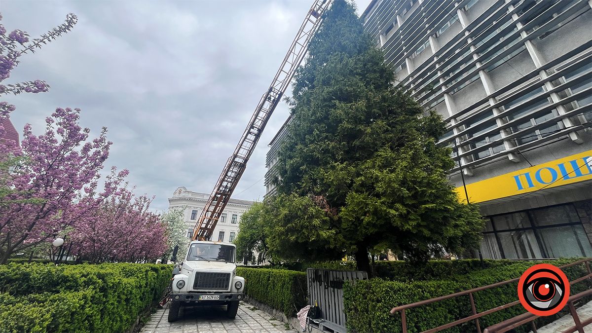 Активістка взялася дбати про зелені насадження у Коломиї замість комунальників 2