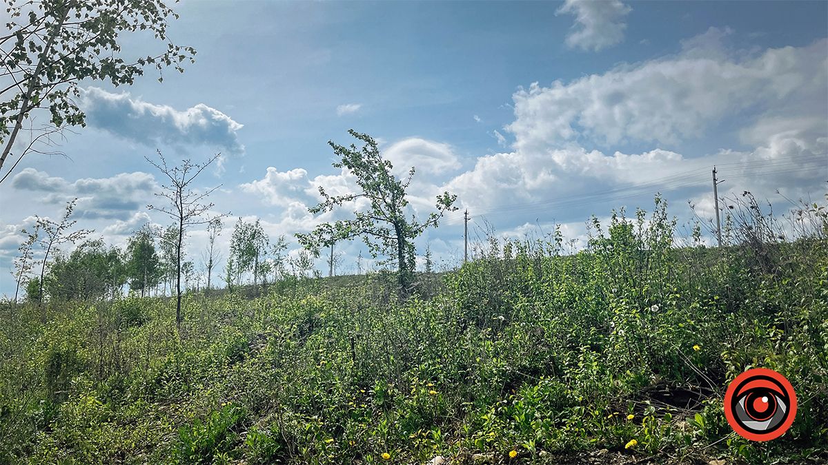 Прогулянка міським озером неподалік парку Шевченка | Фоторепортаж 11