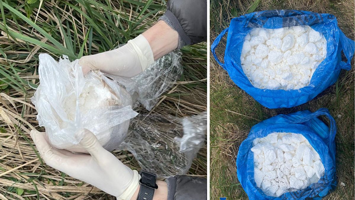 На Прикарпатті діяла нарколабораторія просто неба, міжнародний наркокартель знешкодила СБУ й Нацполіція 4