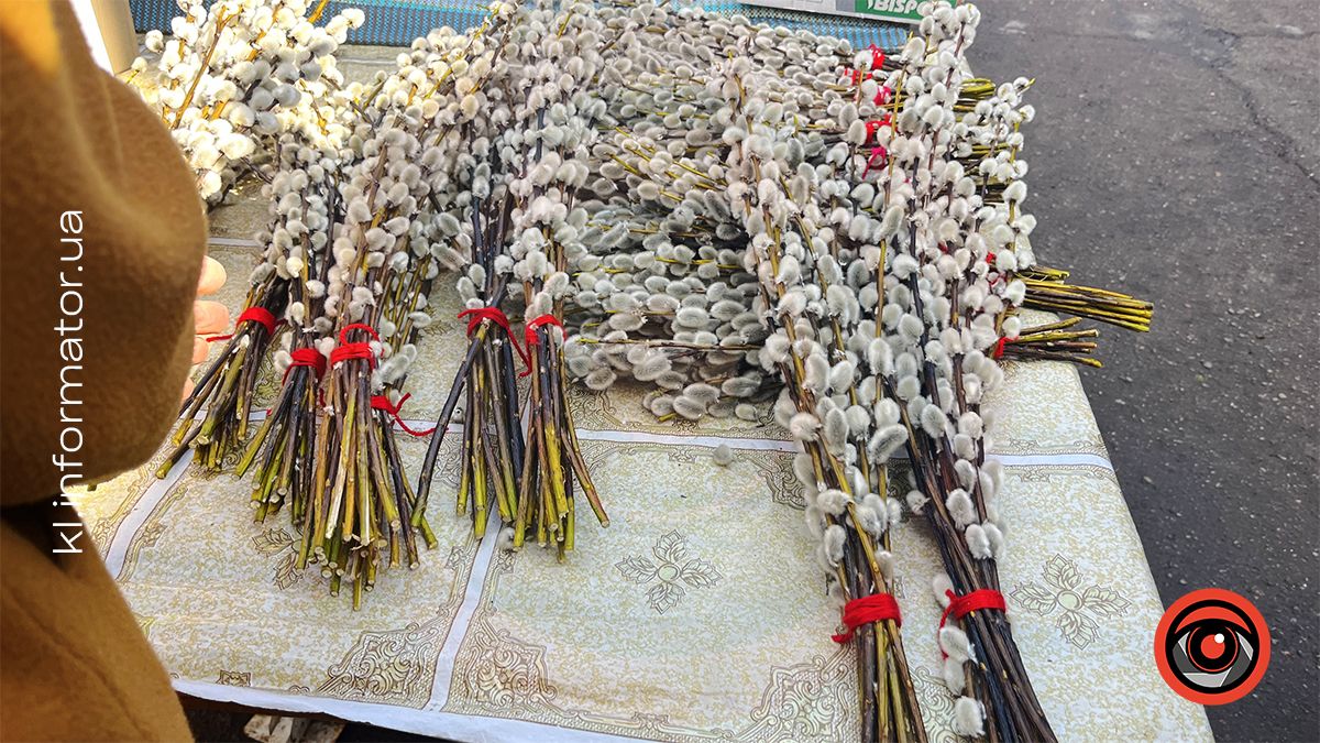 Скільки коштують вербові гілочки напередодні Вербної неділі у Коломиї