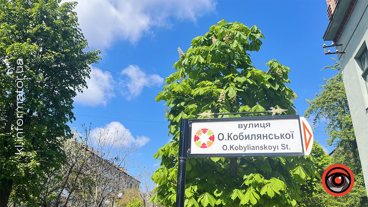 Перший цвіт у новому році | Фоторепортаж коломийських каштанів 2024 5