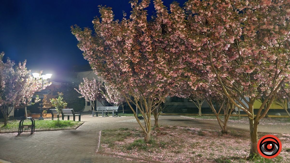 Барвиста Коломия у квітні 2024 року. Фото 10