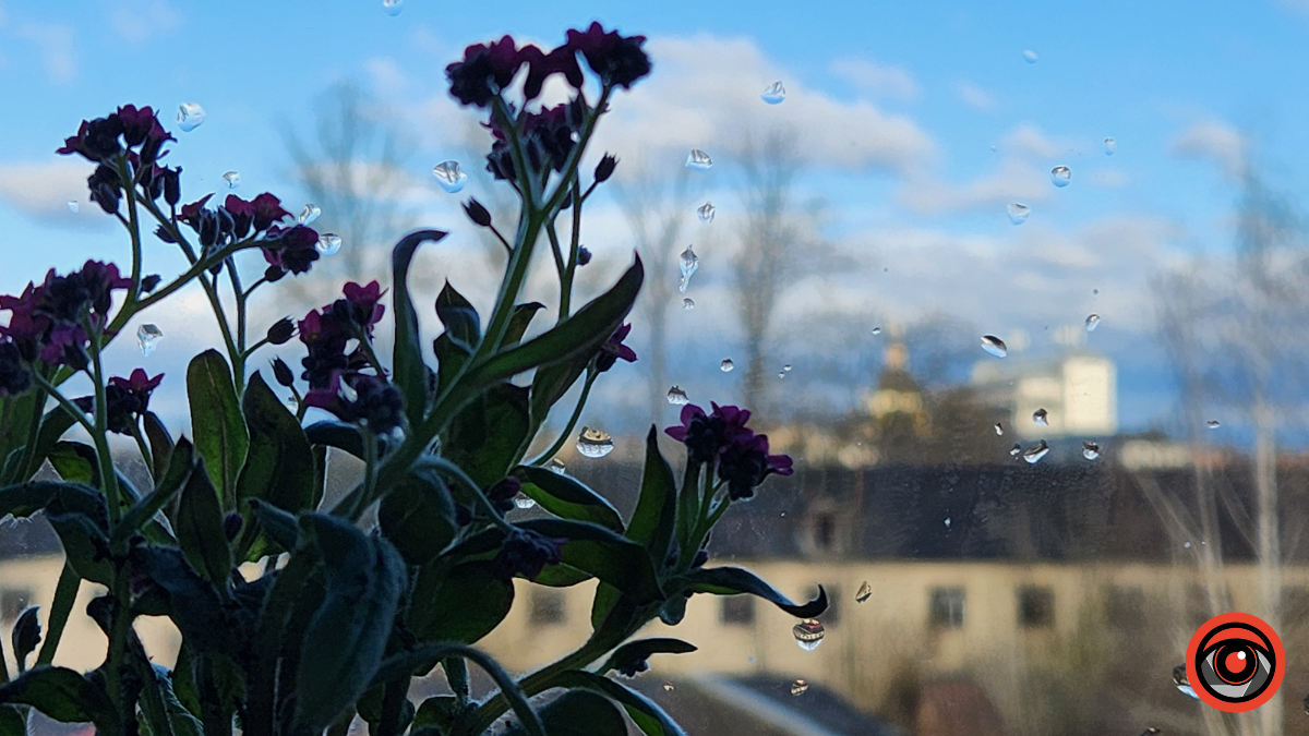 Хмарно з дощем: погода в Коломиї на 30 травня