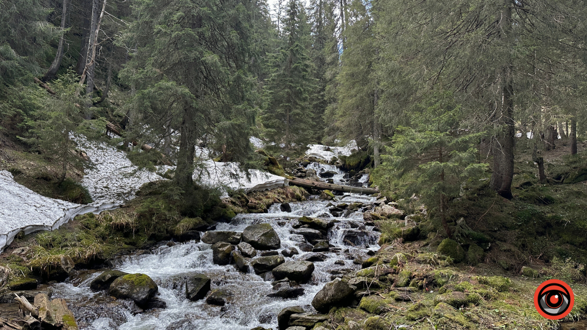 Магія Карпат: Фоторепортаж з Чорногірського хребта 7