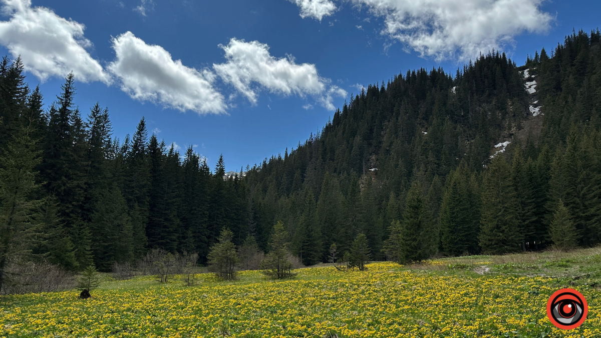 Магія Карпат: Фоторепортаж з Чорногірського хребта 6