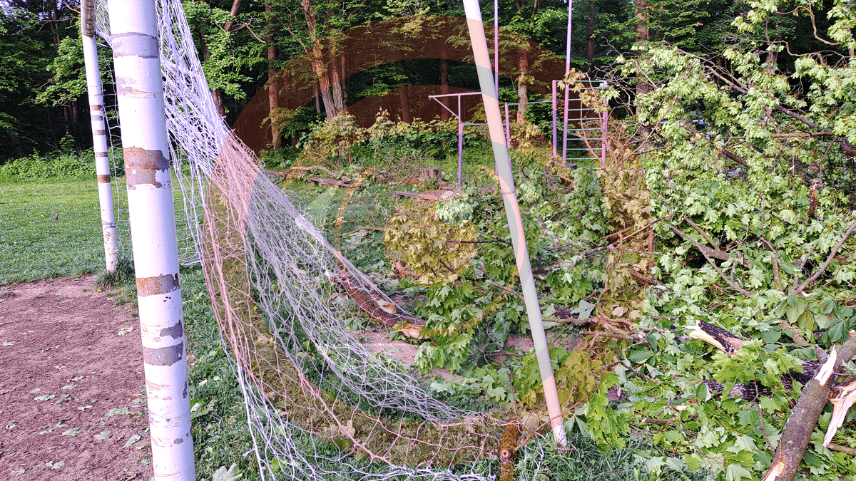 У Шевченківському парку в Коломиї впало дерево 5