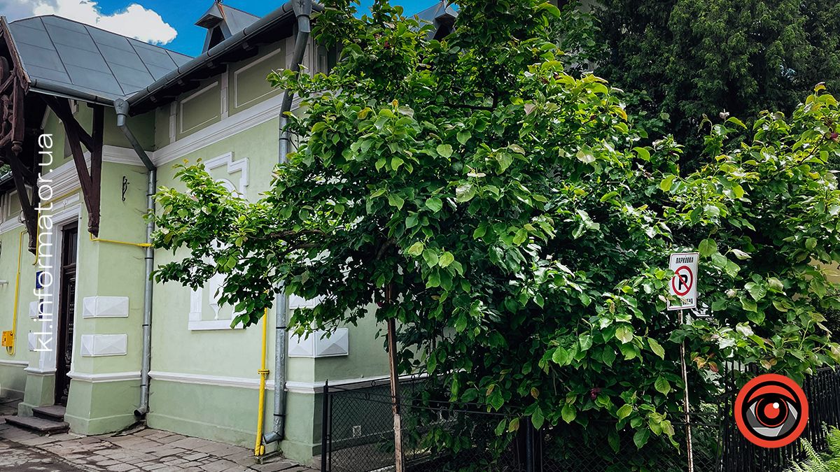 Якою була Коломия в останній день весни-2024 | ФОТО 4