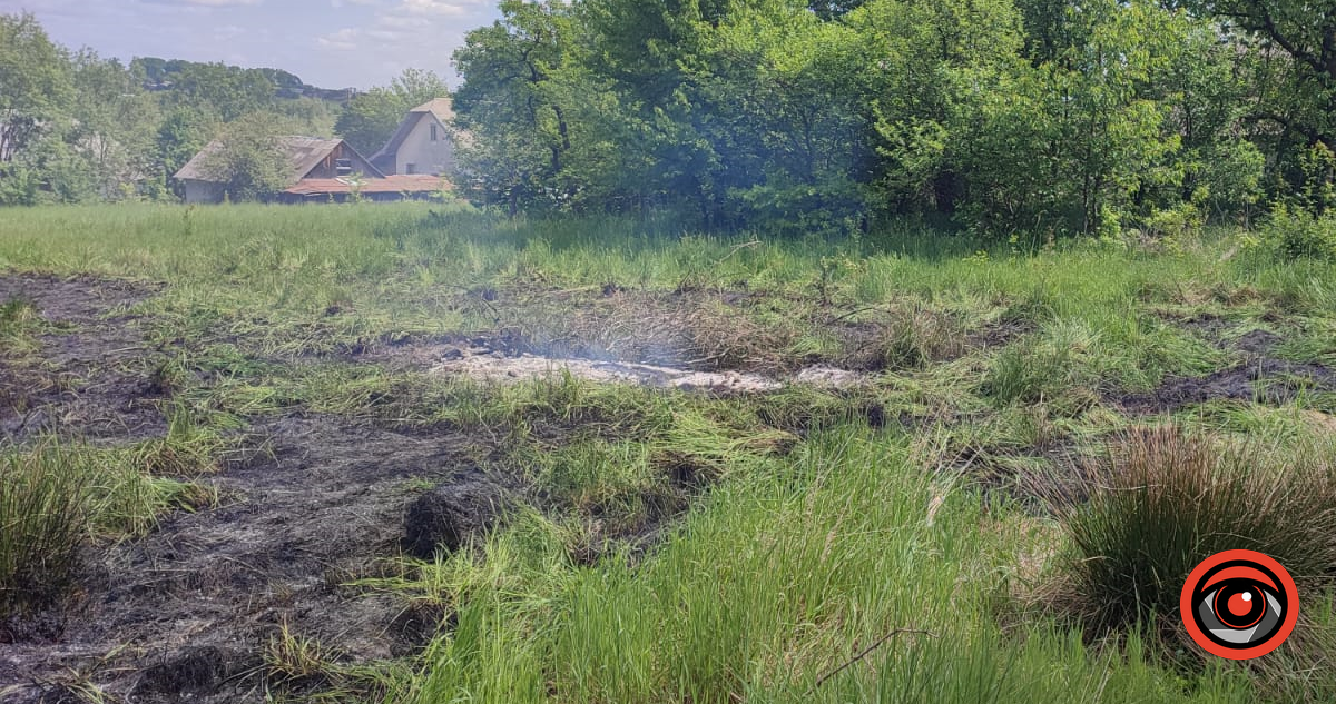 Пригріло: на Коломийщині горить суха трава 1