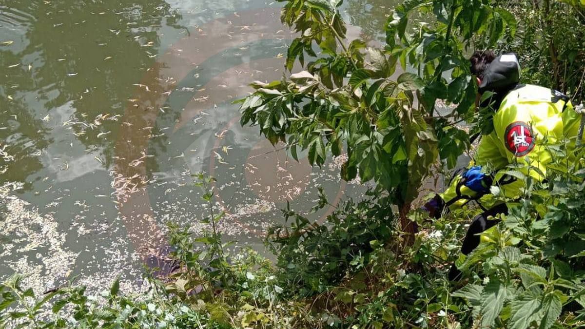 На Коломийщині місцеві знайшли чоловіка мертвим у ставку 1