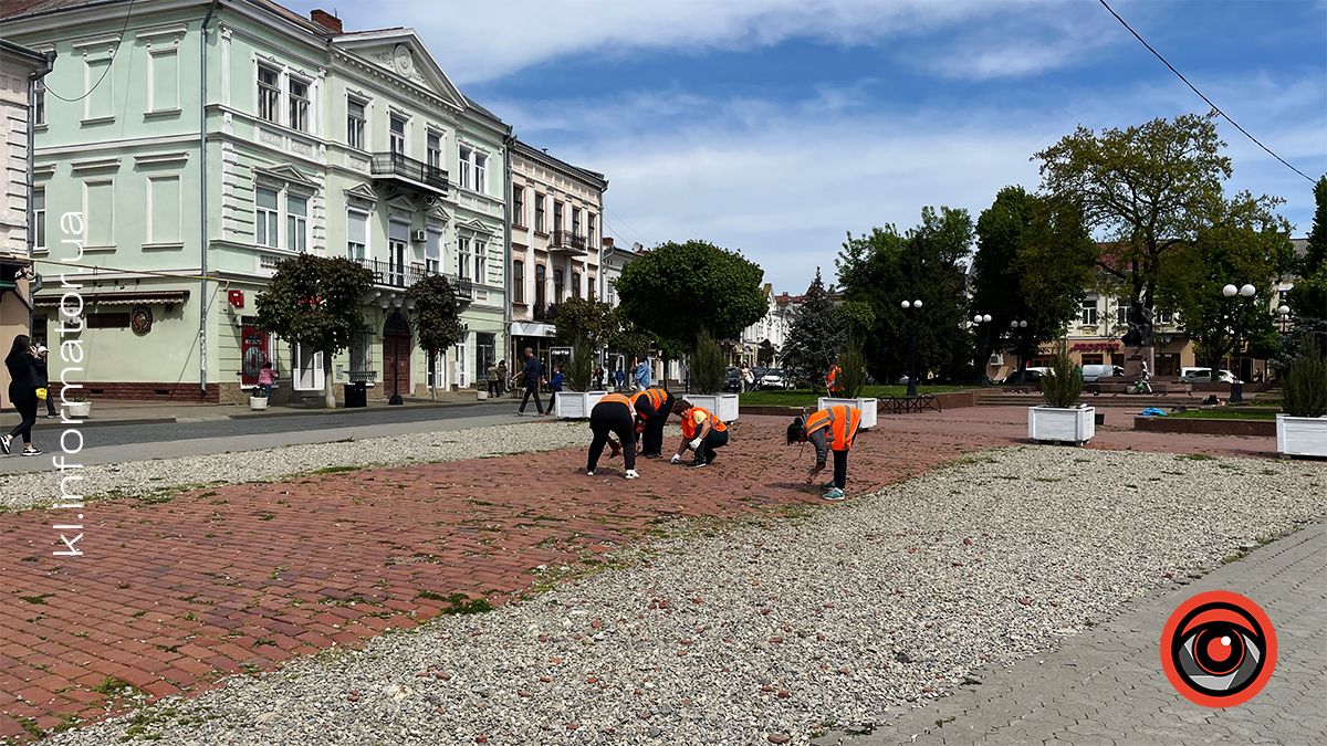 Знову вручну: коломийські комунальники шпателями чистять траву на площі Відродження. Де закуплена техніка? 2